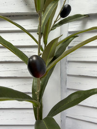 ITEM 11746 - 33.5" OLIVE BRANCH