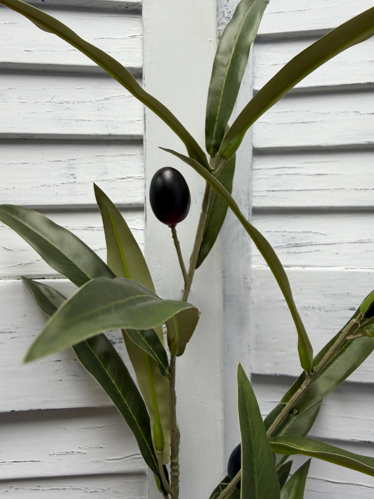 ITEM 11746 - 33.5" OLIVE BRANCH