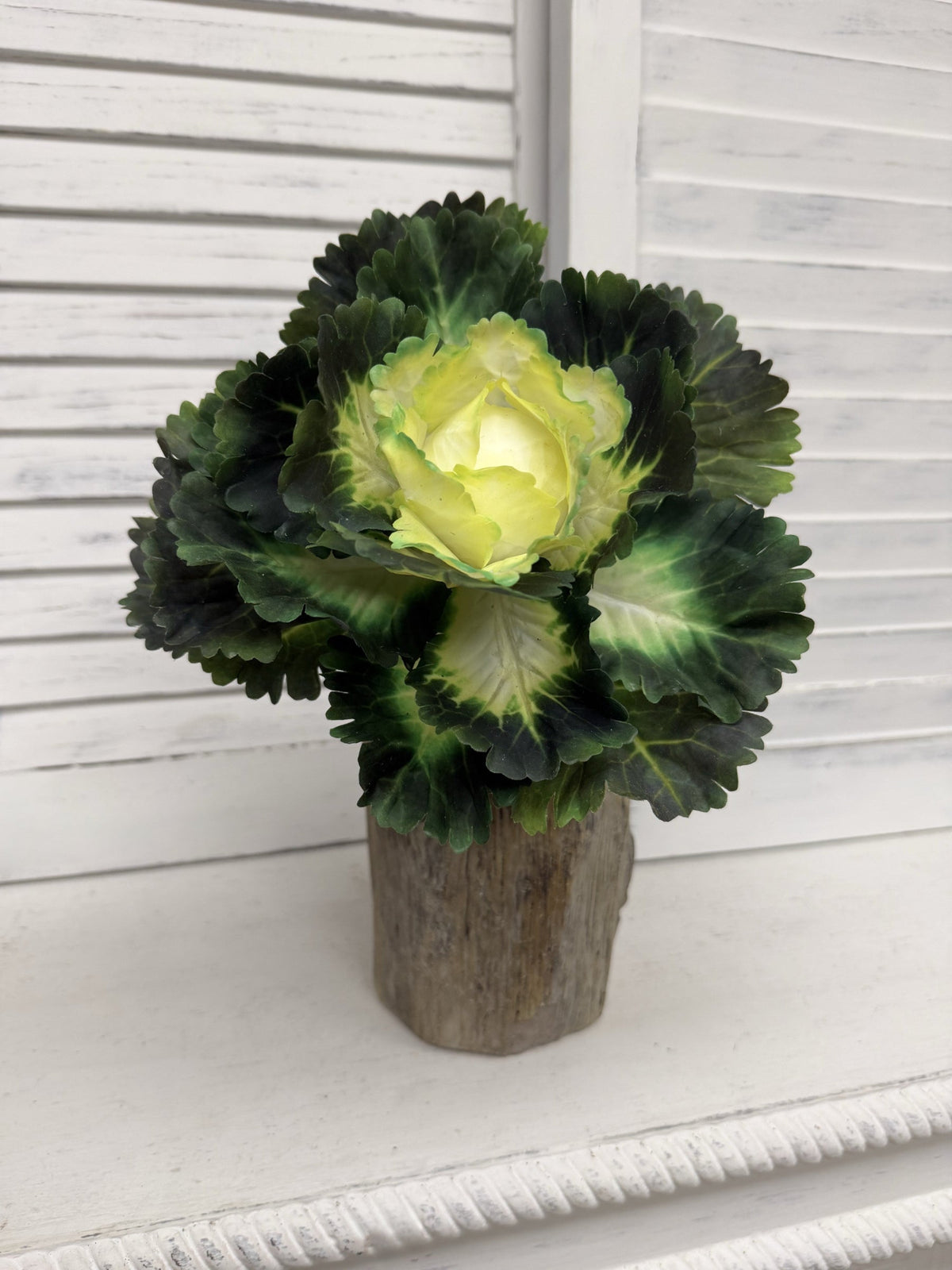 ITEM 11747 CMGR - 9"REAL TOUCH CABBAGE PLANT