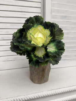ITEM 11747 CMGR - 9"REAL TOUCH CABBAGE PLANT
