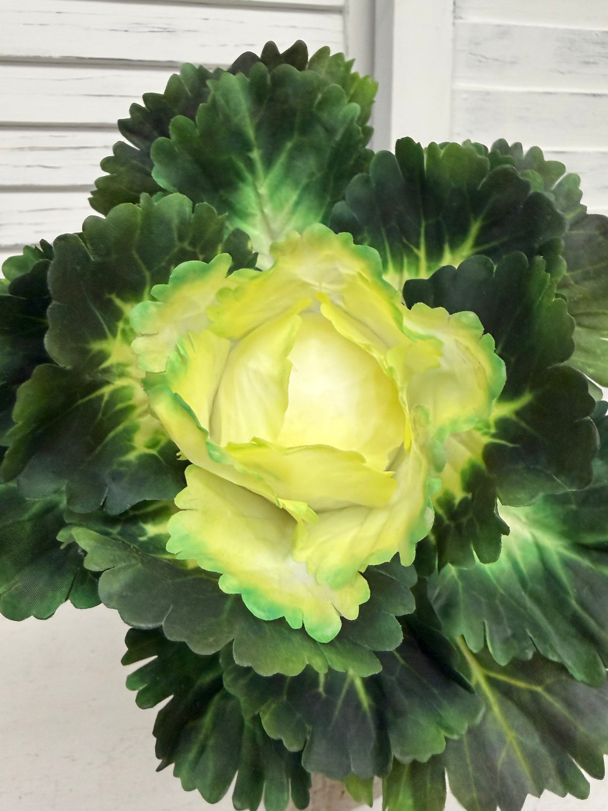 ITEM 11747 CMGR - 9"REAL TOUCH CABBAGE PLANT