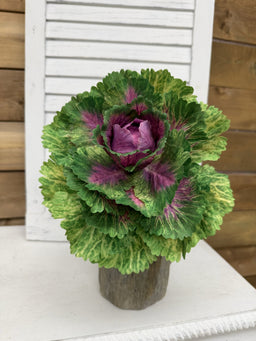 ITEM 11747 GRPK - 9"REAL TOUCH CABBAGE PLANT