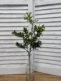 ITEM 11750 - 21.5" UV PROTECTED BOXWOOD LEAF SPRAY