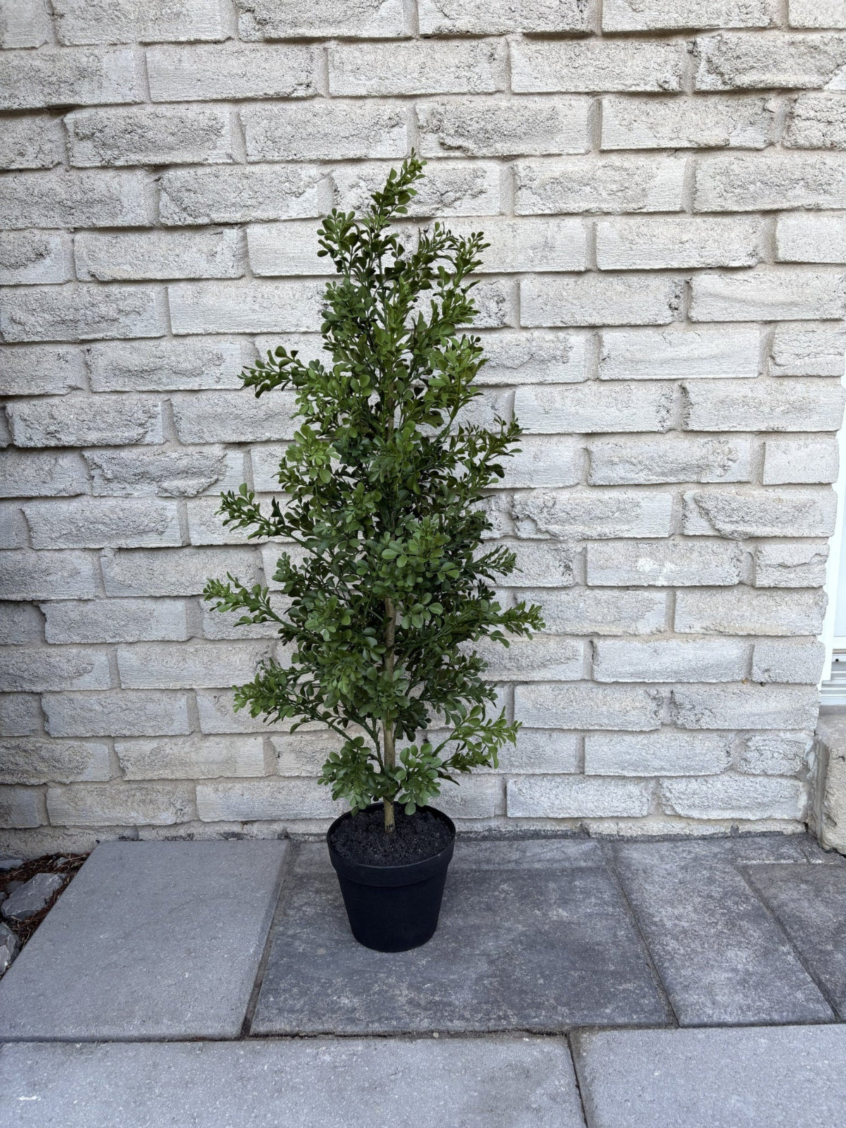 ITEM 11759 - 35" UV PROTECTED BOXWOOD LEAF TREE IN BLACK PLASTIC POT