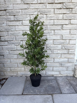 ITEM 11759 - 35" UV PROTECTED BOXWOOD LEAF TREE IN BLACK PLASTIC POT
