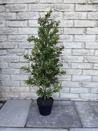 ITEM 11760 - 44" UV PROTECTED BOXWOOD LEAF TREE IN BLACK PLASTIC POT
