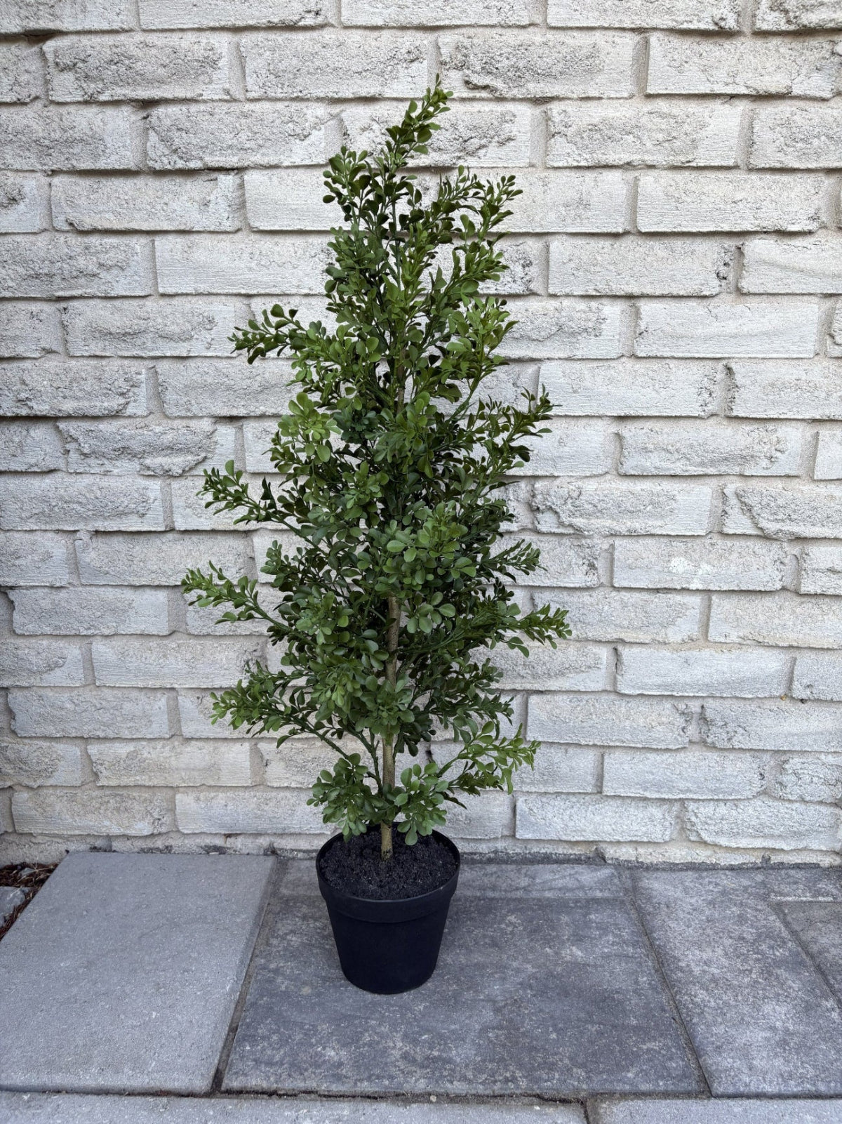 ITEM 11760 - 44" UV PROTECTED BOXWOOD LEAF TREE IN BLACK PLASTIC POT