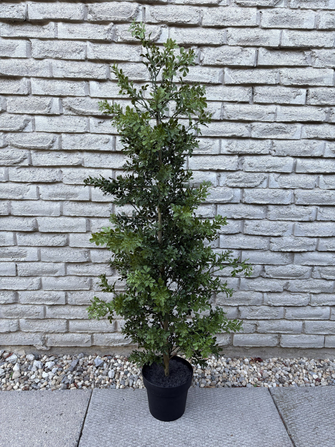 ITEM 11761 - 55" UV PROTECTED BOXWOOD LEAF TREE IN BLACK PLASTIC POT