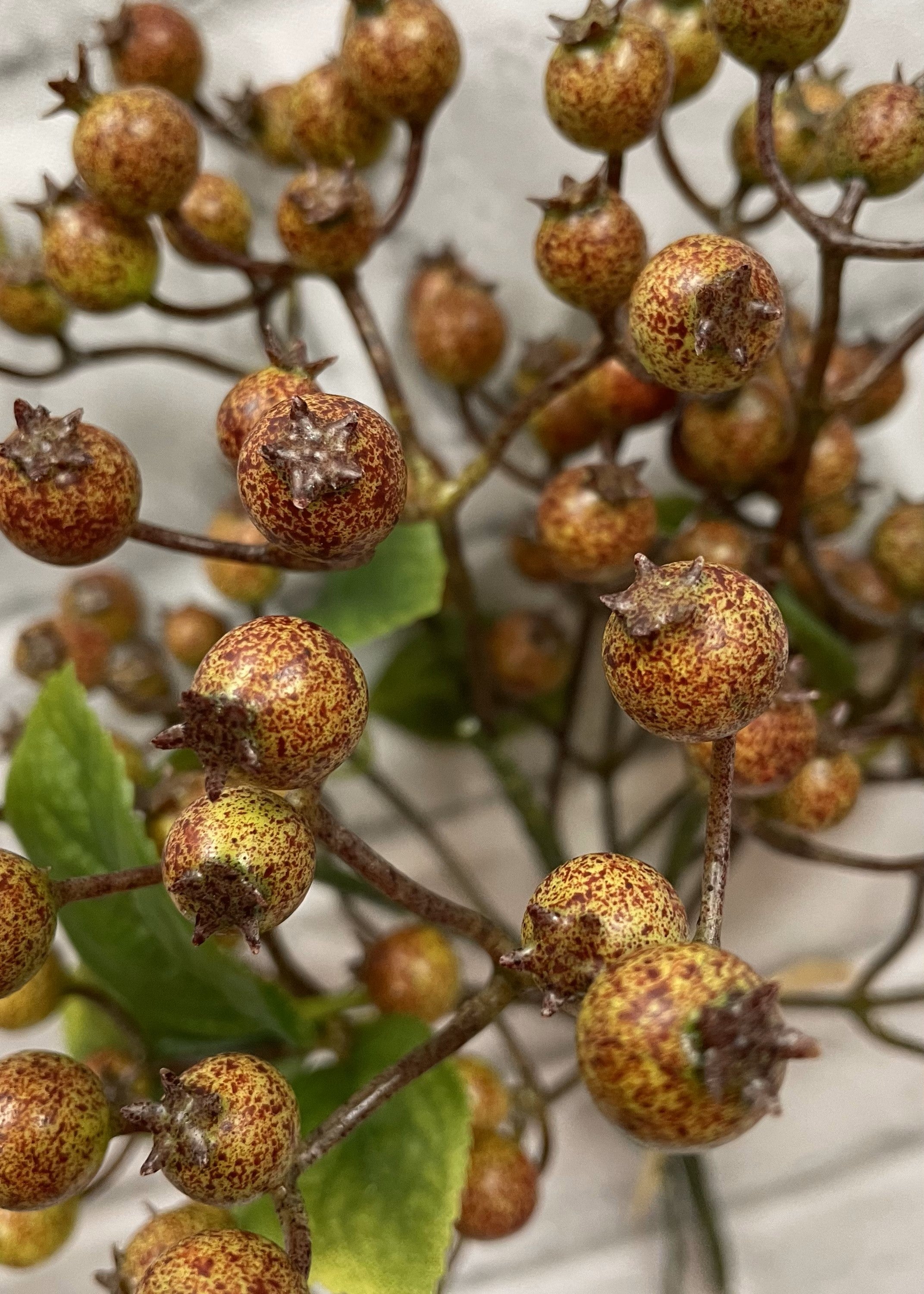 ITEM 12280 - 11" FALL BERRY BUNDLE WITH 5 STEMS
