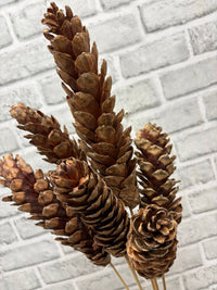 ITEM 1802 NAT - 24" NATURAL STROBUS PINE CONES ON STICKS - 6 PER BUNDLE