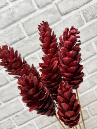 ITEM 1802 RED - 24" RED STROBUS PINE CONES ON STICKS - 6 PER BUNDLE