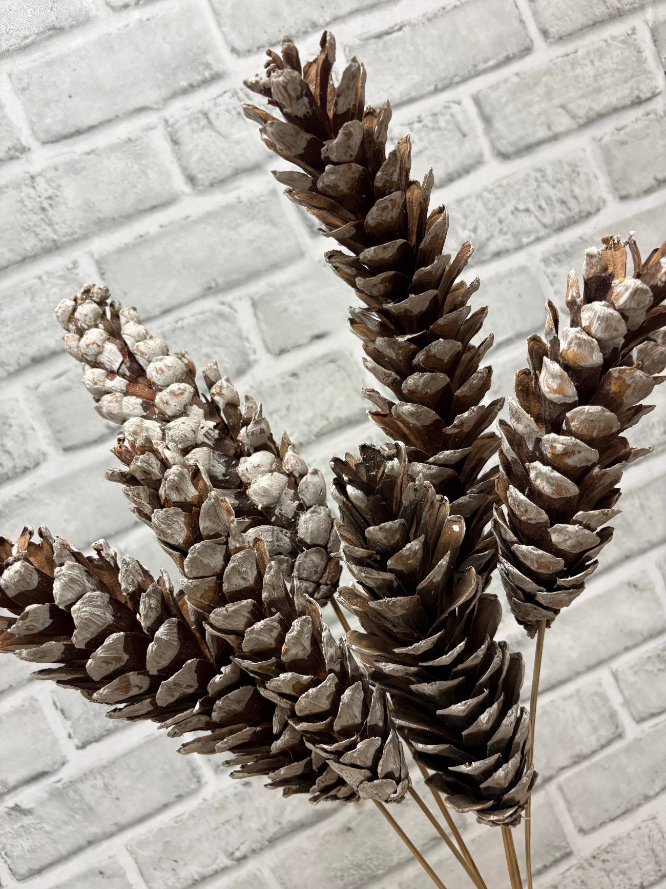 ITEM 1802 W - 24" WHITE STROBUS PINE CONES ON STICKS - 6 PER BUNDLE