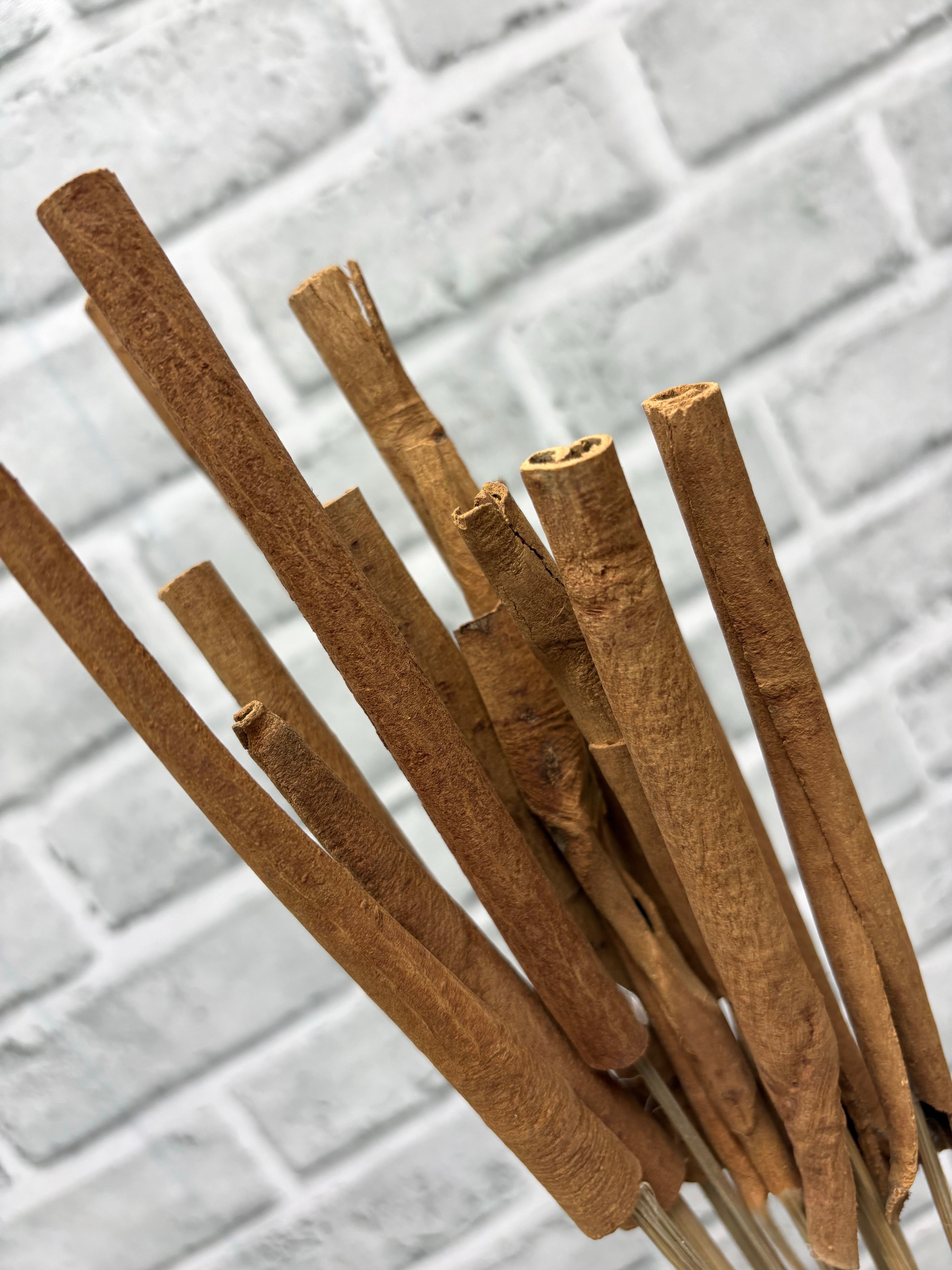 ITEM 1806 - 23" CINNAMON STICKS - 12 PER PACKAGE