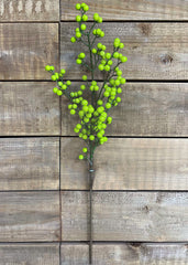 ITEM 81083 GR - 25"  APPLE GREEN OUTDOOR BERRY SPRAY WITH 5 BRANCHES