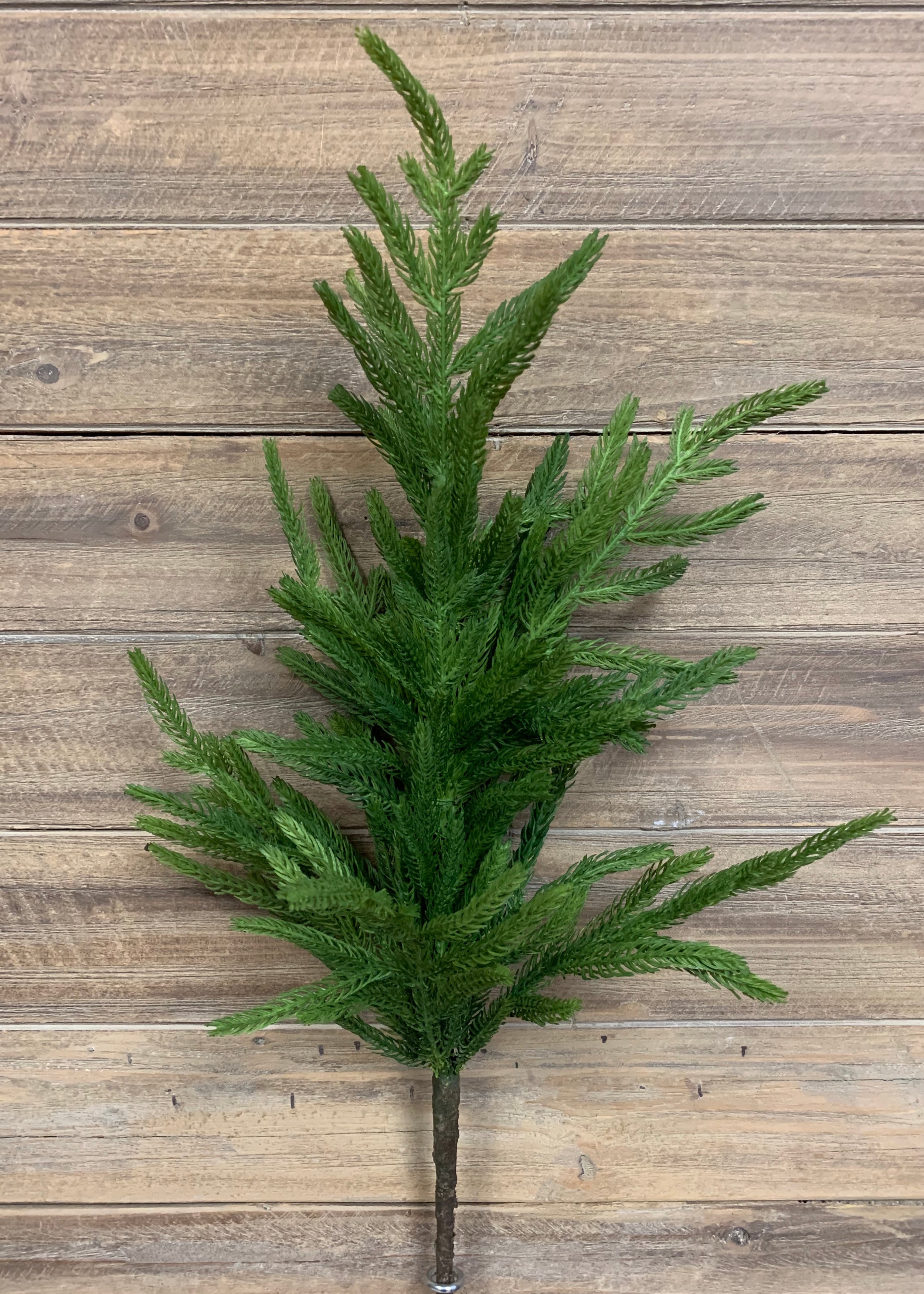 ITEM 81645 - 29" FRESH TOUCH NORFOLK PINE BRANCH