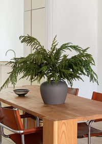 ITEM 81646 - 36" FRESH TOUCH NORFOLK PINE SPRAY