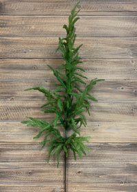 ITEM 81646 - 36" FRESH TOUCH NORFOLK PINE SPRAY