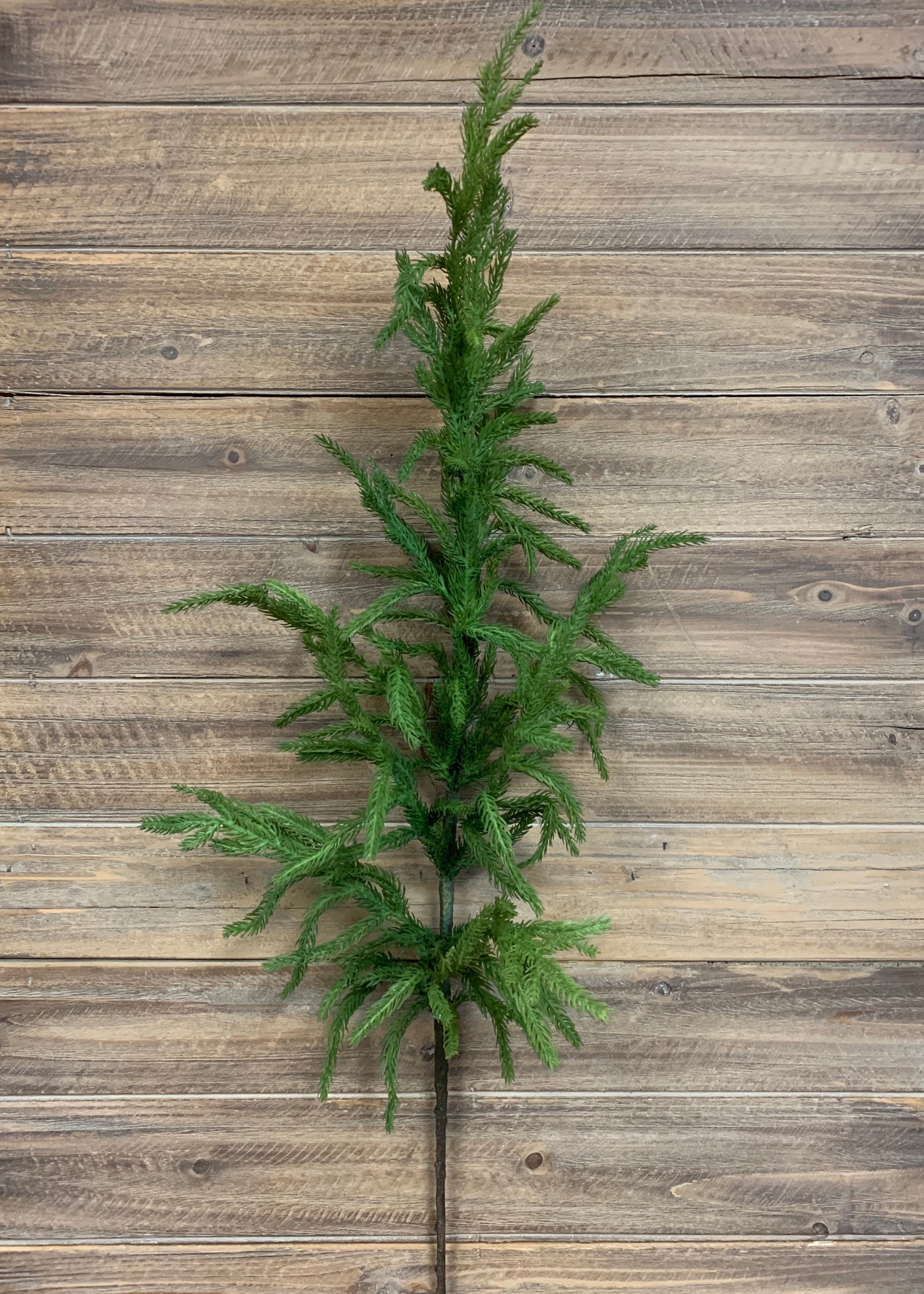 ITEM 81646 - 36" FRESH TOUCH NORFOLK PINE SPRAY