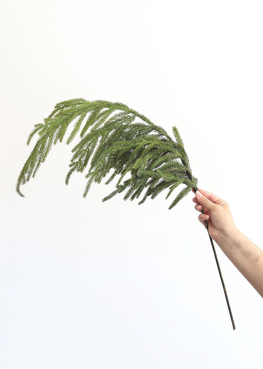 ITEM 81646 - 36" FRESH TOUCH NORFOLK PINE SPRAY