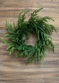 ITEM 81657 - 20" FRESH TOUCH NORFOLK PINE WREATH
