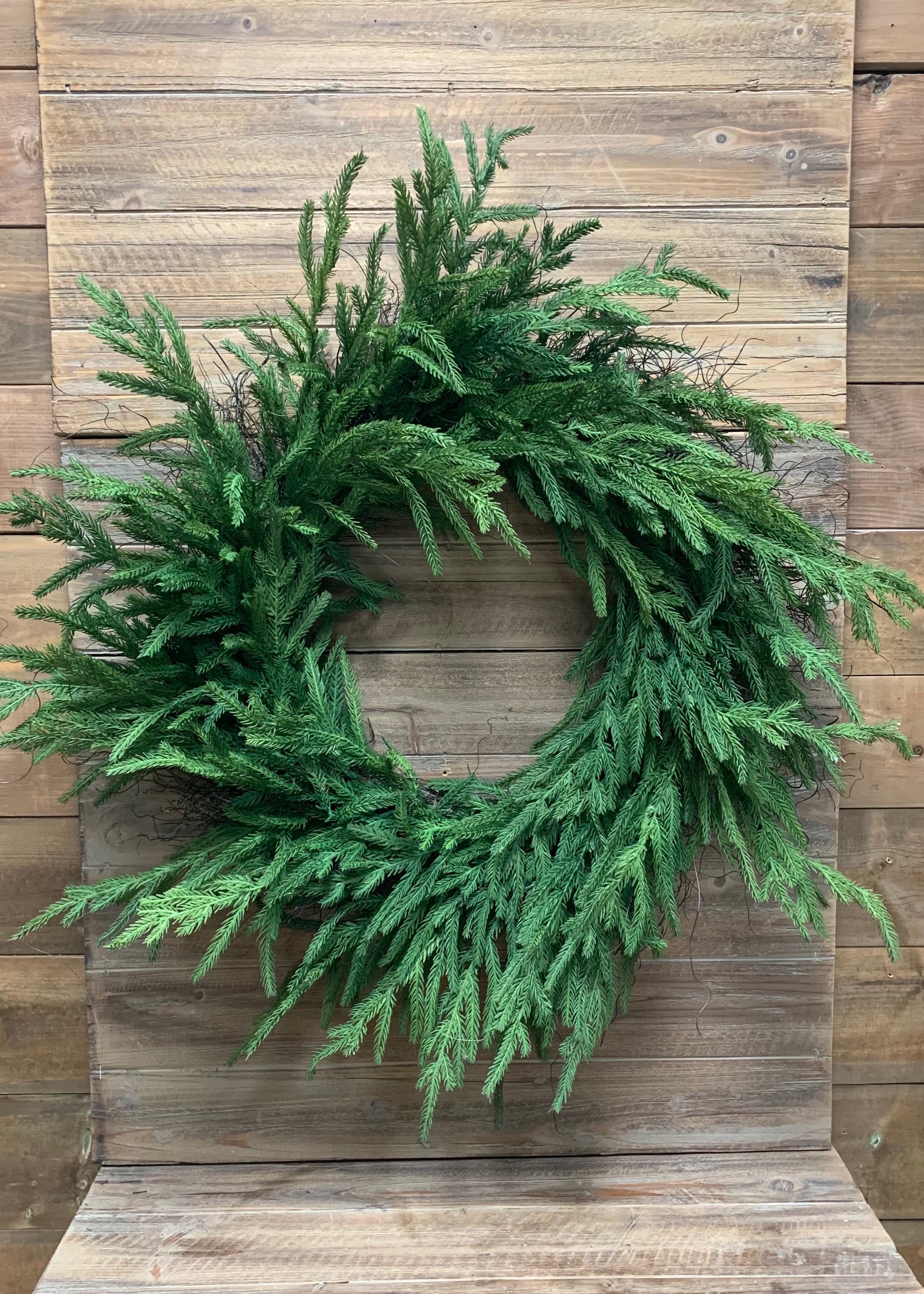 ITEM 81659 - 12" INSIDE DIM, 24" OUTSIDE DIM, FRESH TOUCH NORFOLK PINE WREATH ON NATURAL FRAME