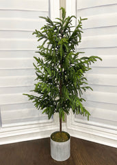 ITEM 81665 - 48" FRESH TOUCH NORFOLK PINE TREE POTTED IN METAL POT