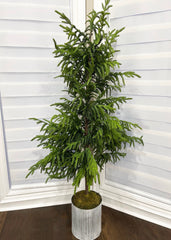 ITEM 81696 - 69” FRESH TOUCH CYPRESS TREE POTTED IN METAL POT