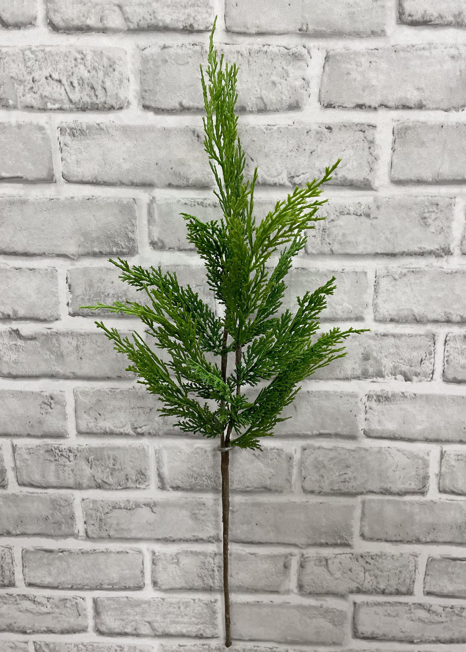 ITEM 81669 - 24” FRESH TOUCH WHISPY CEDAR BRANCH