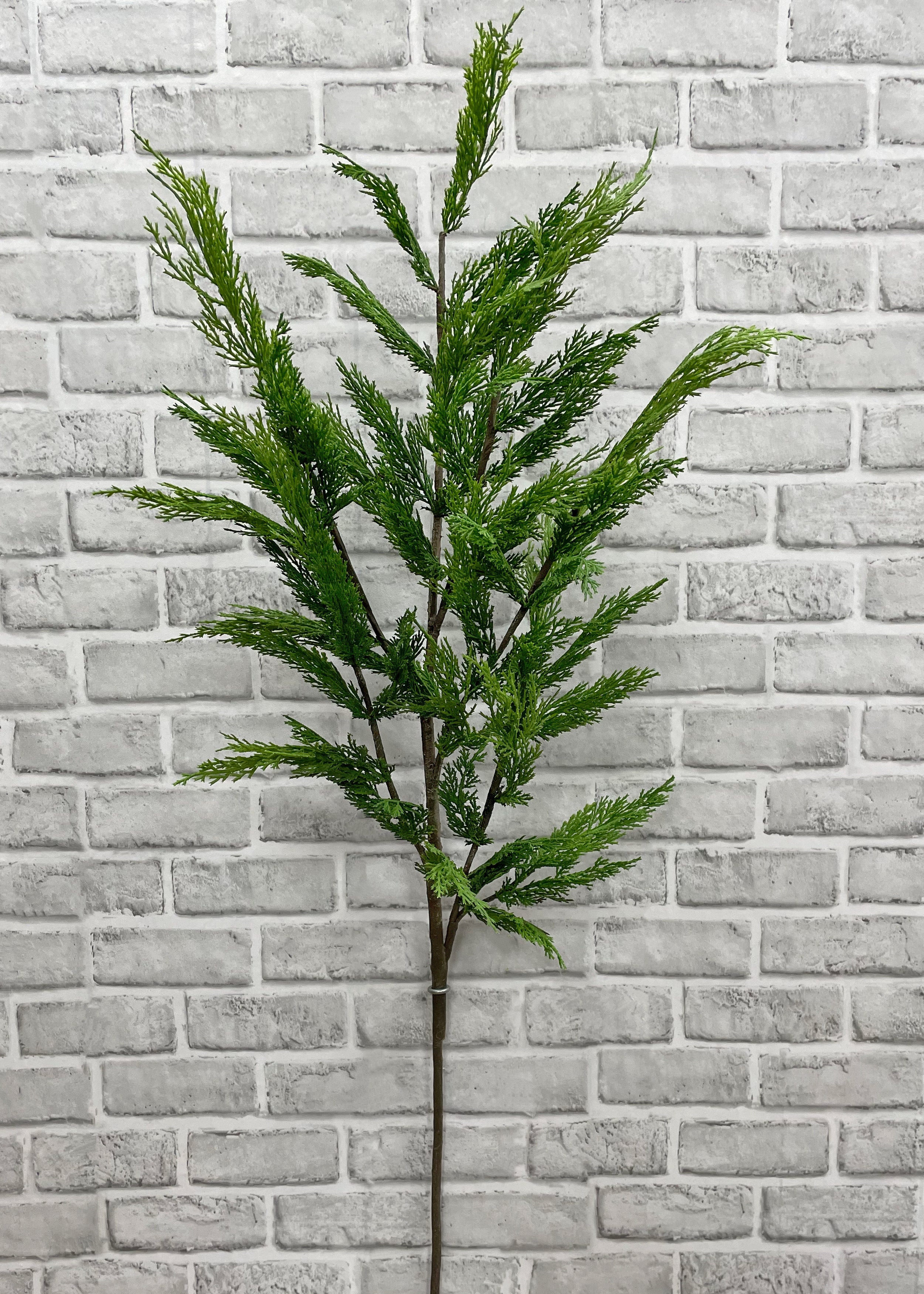 ITEM 81671 - 48” FRESH TOUCH WHISPY CEDAR BRANCH