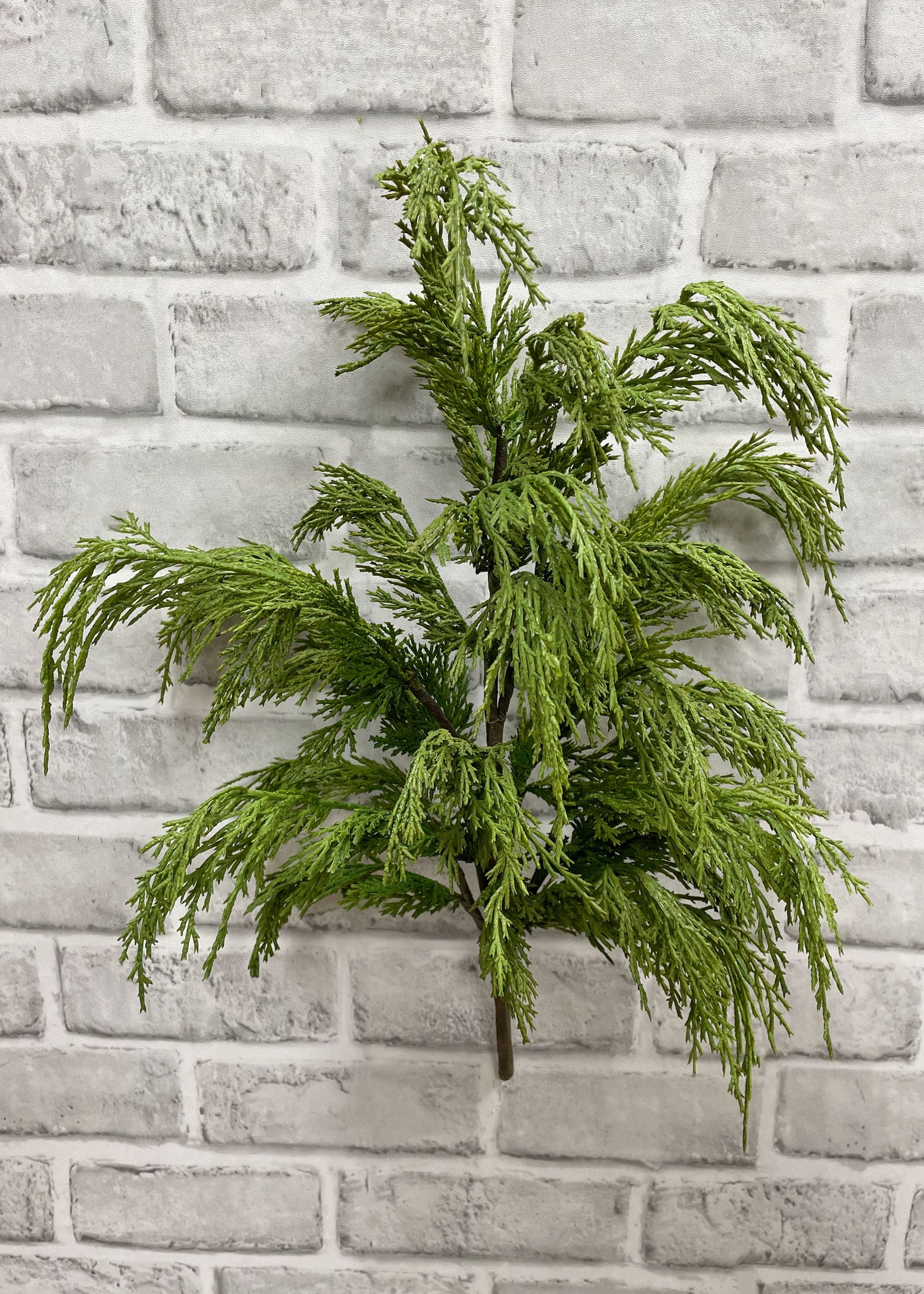 ITEM 81672 - 20" FRESH TOUCH WHISPY CEDAR BUSH