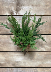 ITEM 81674 - 12" FRESH TOUCH MIXED CYPRESS BUNDLE WITH 8 STEMS