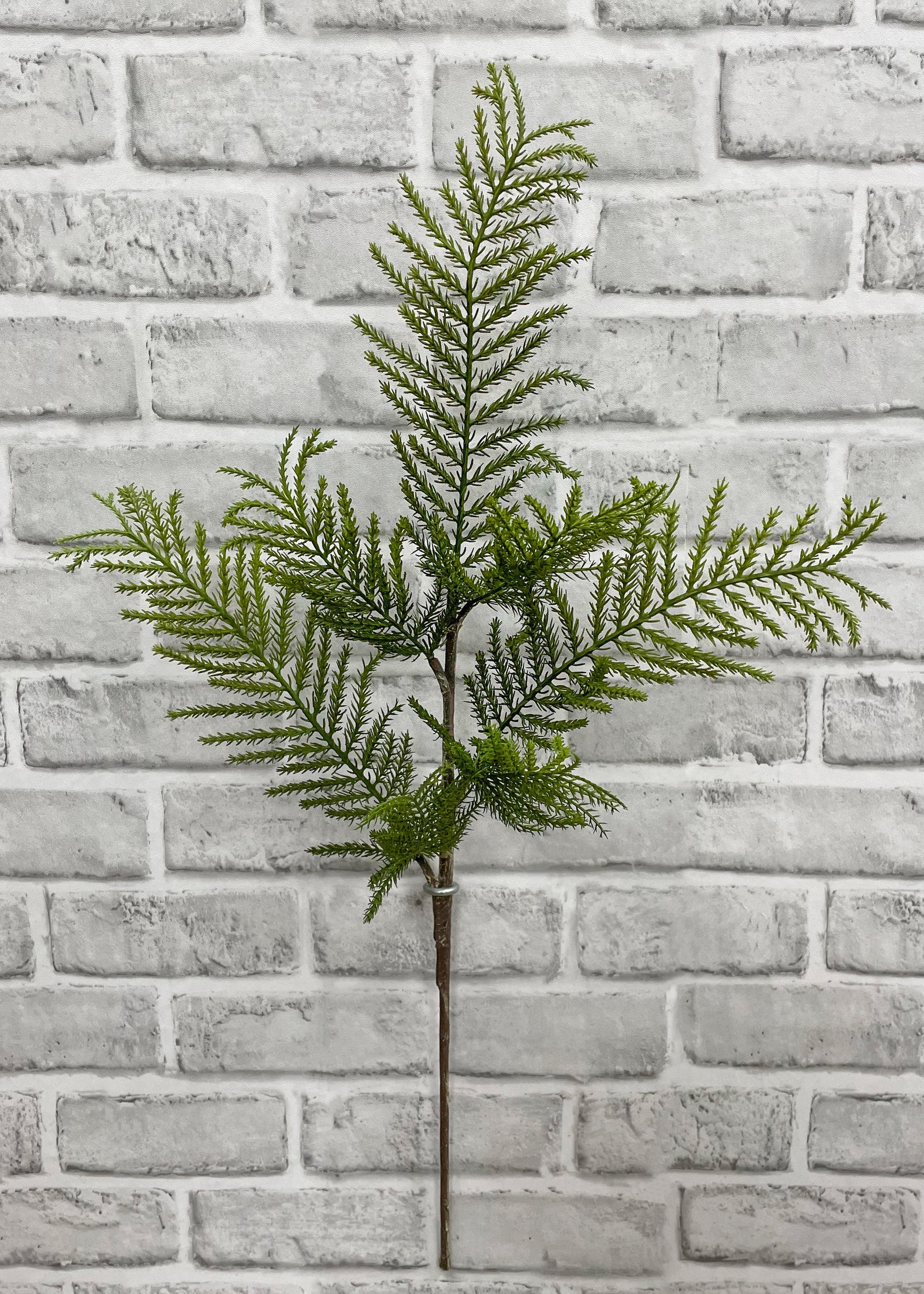 ITEM 81693 - 24" FRESH TOUCH CYPRESS SPRAY