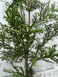 ITEM 81861  - 29" FRESH TOUCH CEDAR STEM