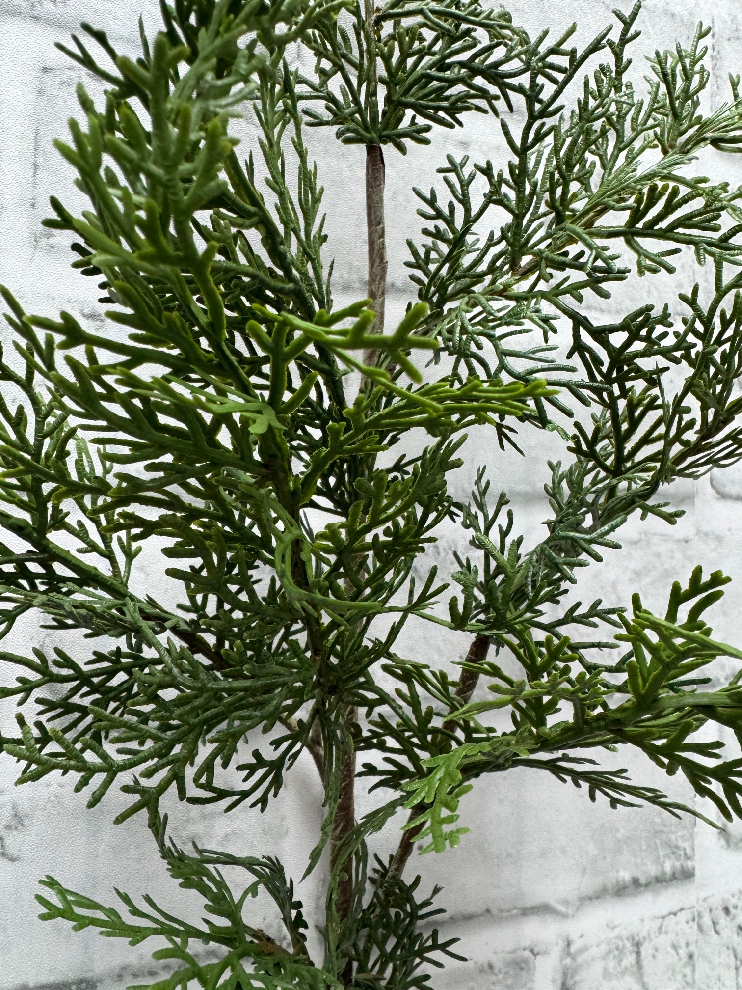 ITEM 81861  - 29" FRESH TOUCH CEDAR STEM