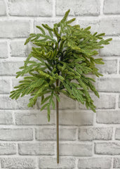 ITEM 81891  - 23" FRESH TOUCH BABY NORFOLK ISLAND PINE SPRAY