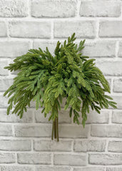 ITEM 81893  - 17" FRESH TOUCH BABY NORFOLK ISLAND PINE  BUNDLE