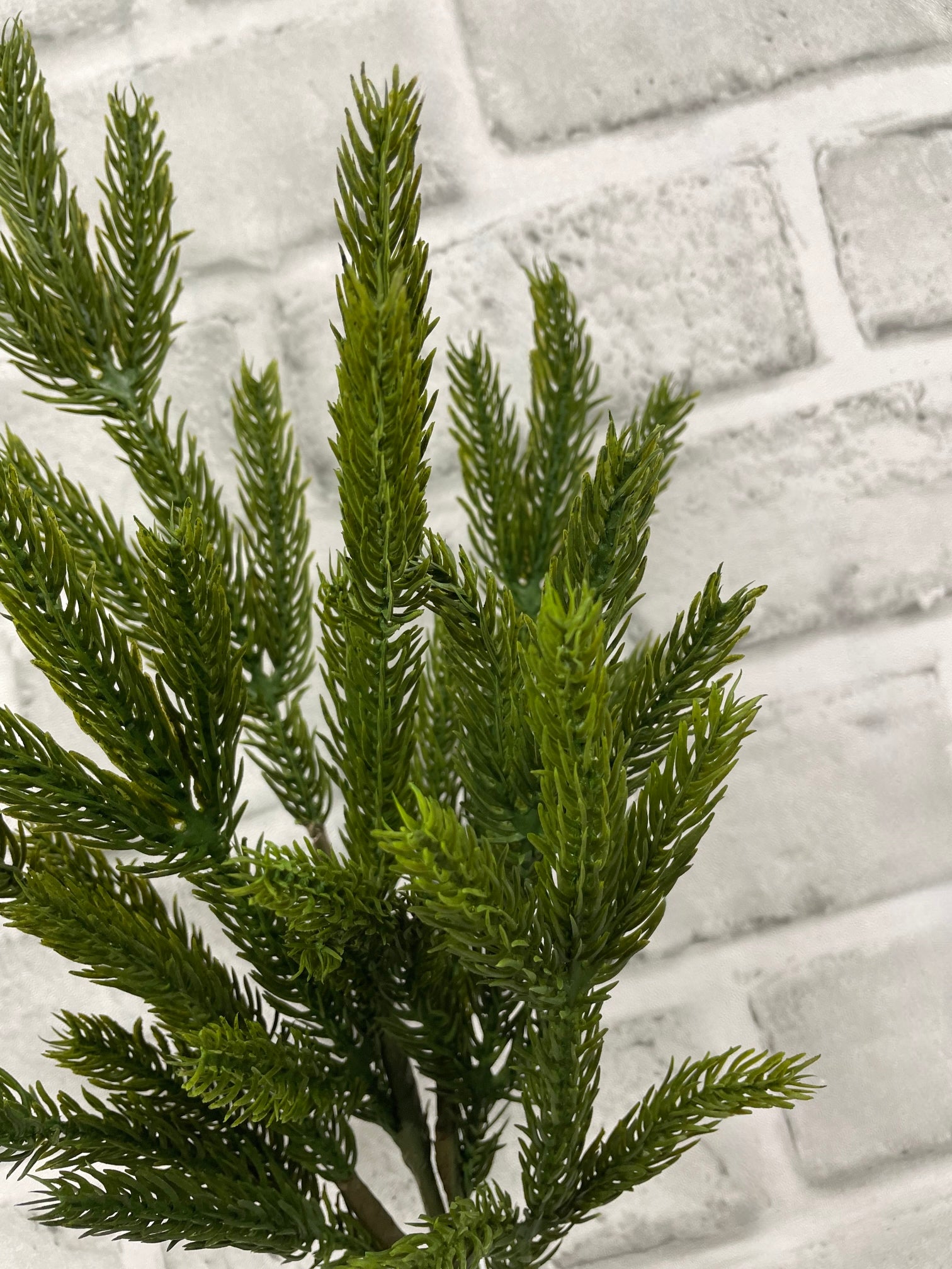 ITEM 81909 - 14" FRESH TOUCH SPRUCE PICK