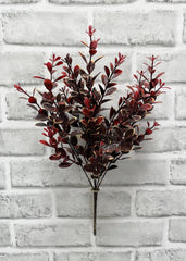 ITEM 81941  - 14" BURGUNDY EUONYMUS BUSH