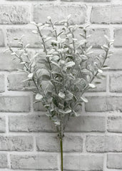 ITEM 81955  - 19" SNOWY BOXWOOD  BUSH