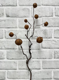 ITEM 81978 RUST - 20" RUST BELL SPRAY