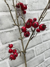 ITEM 81991 SHINNYRED - 31.5" SHINNY RED WEATHER RESISTENT TWIGGY BERRY SPRAY