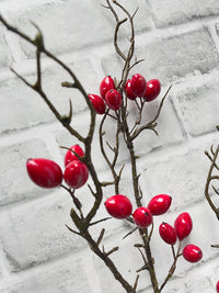 ITEM 81992 SHINNYRED - 41.5" SHINNY RED WEATHER RESISTENT ROSEHIP BERRY SPRAY