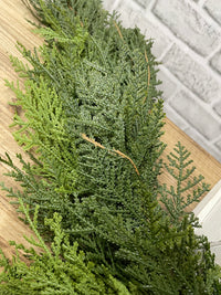 ITEM 82004 - 9 FOOT FRESH TOUCH LUSH NORTHERN WHITE CEDAR GARLAND