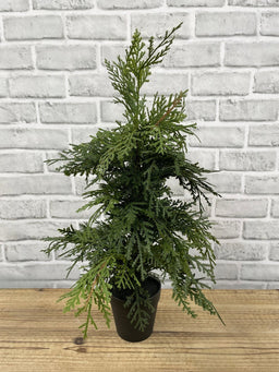 ITEM 82005 - 19.5" FRESH TOUCH NORTHERN WHITE CEDAR TREE IN A BLACK PLASTIC POT