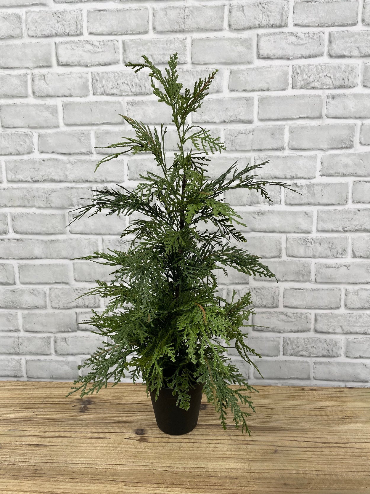 ITEM 82006 - 24" FRESH TOUCH NORTHERN WHITE CEDAR TREE IN A BLACK PLASTIC POT