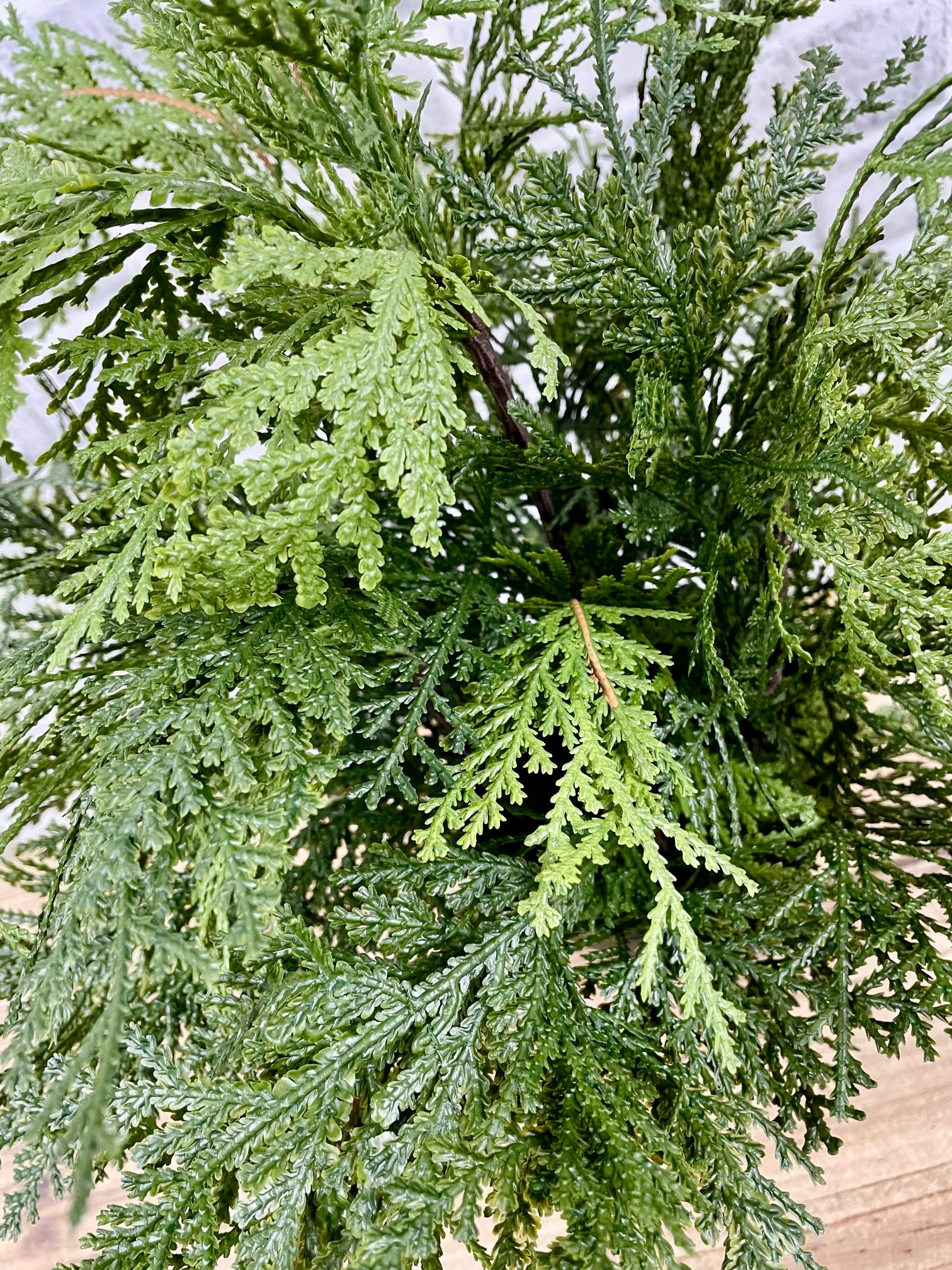 ITEM 82007 - 18" FRESH TOUCH NORTHERN WHITE CEDAR TREE IN A BLACK PLASTIC POT