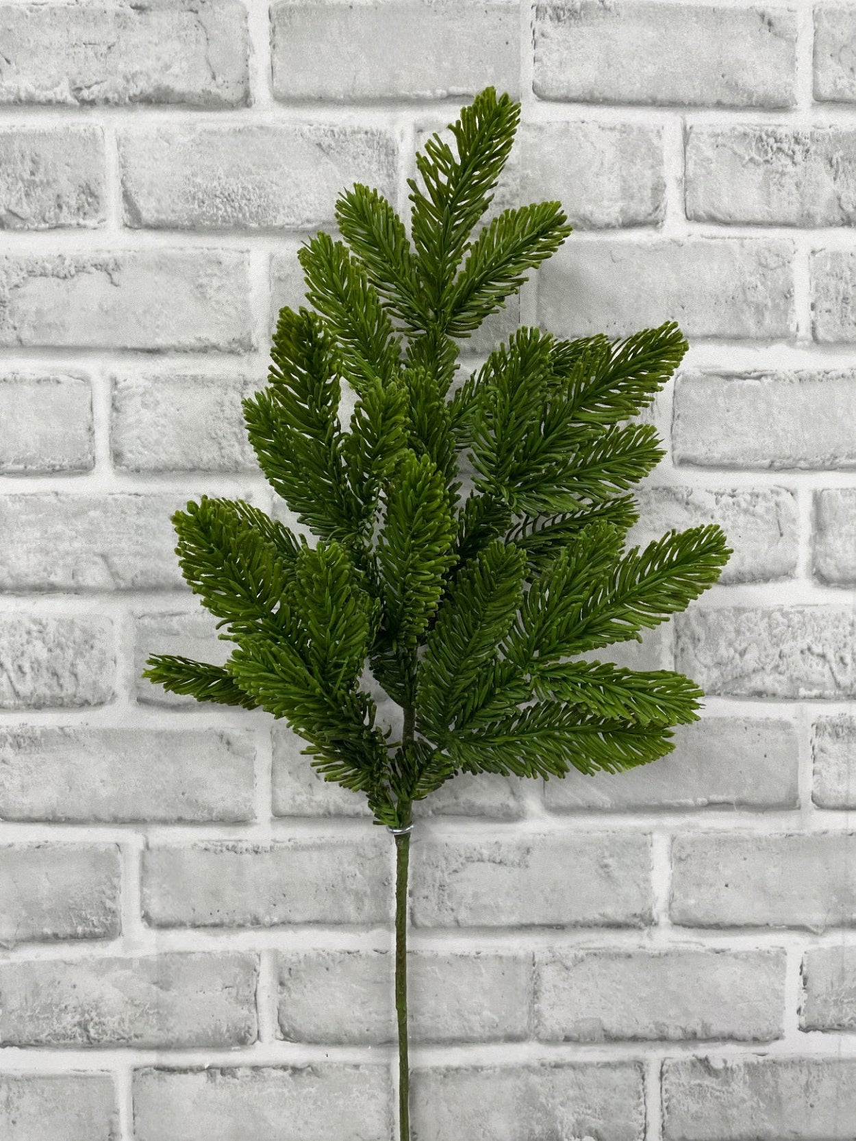 ITEM 82100 - 24" FRESH TOUCH NOBLE FIR STEM