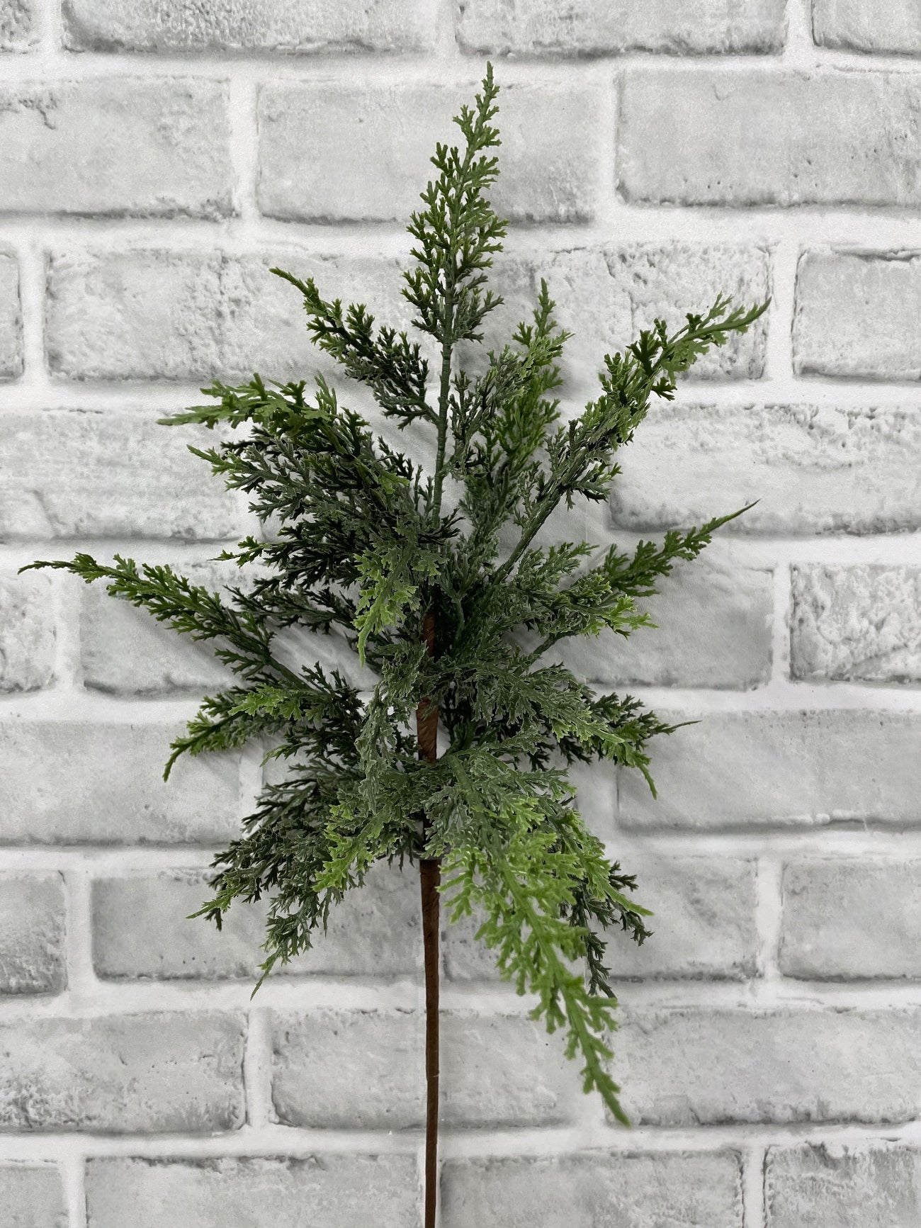 ITEM 82120 - 21" FRESH TOUCH EASTERN RED CEDAR BRANCH