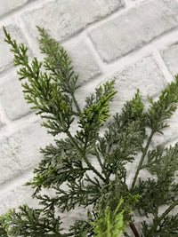 ITEM 82121 - 24" FRESH TOUCH EASTERN RED CEDAR BRANCH