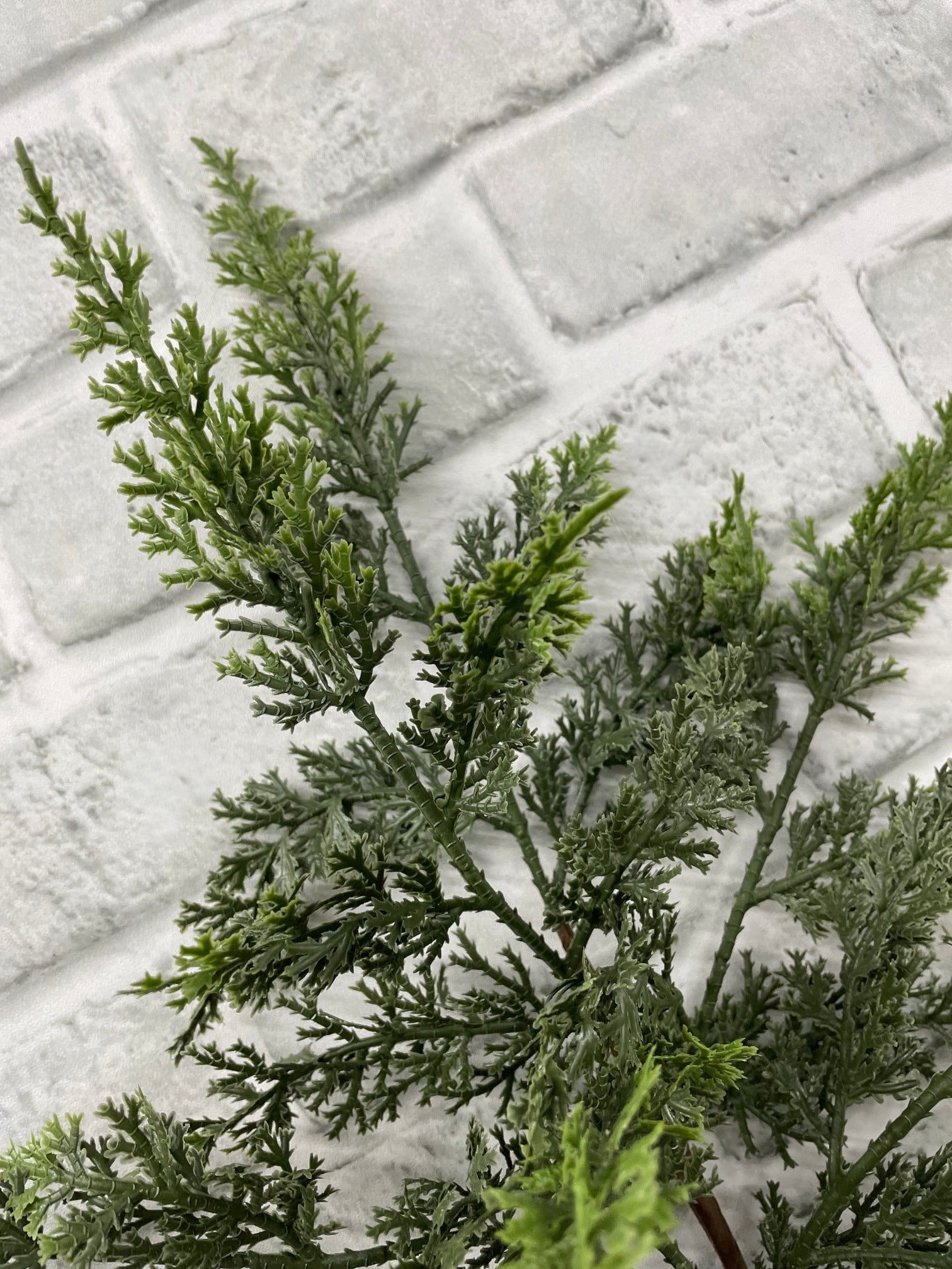 ITEM 82121 - 24" FRESH TOUCH EASTERN RED CEDAR BRANCH